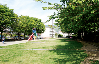 沢村公園